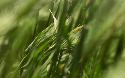 Fiberlaser och slungrensmaskiner driver industrins hållbara teknikskifte