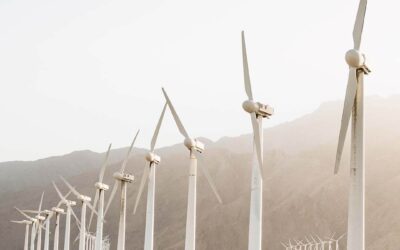 Vilka trender finns inom industrin?